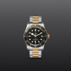 TUDOR Black Bay S&G - M79733N-0008