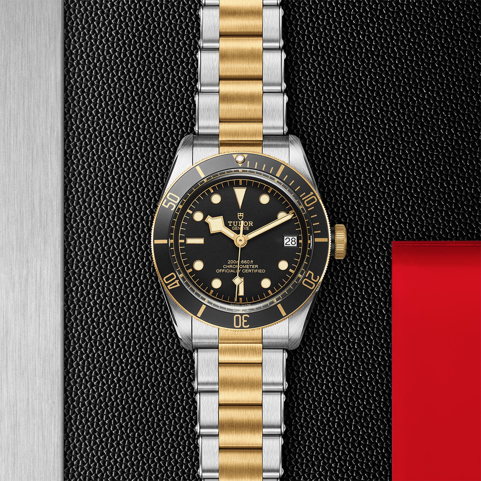 TUDOR Black Bay S&G - M79733N-0008 – Casa Barros