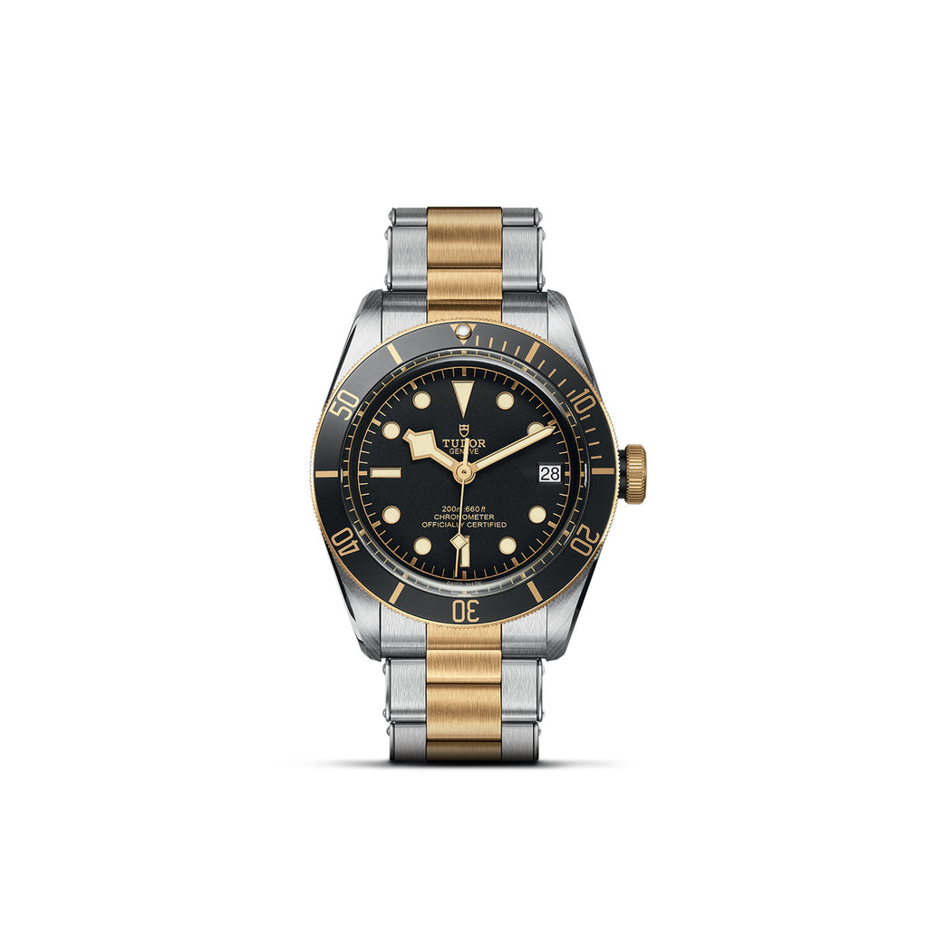 TUDOR Black Bay S&G - M79733N-0008